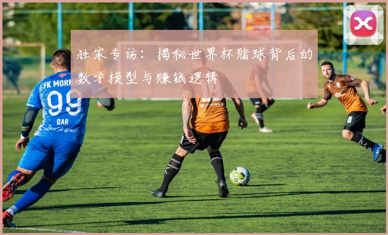 独家专访：揭秘世界杯赌球背后的数学模型与赚钱逻辑